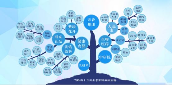 市委常委、組織部部長、統(tǒng)戰(zhàn)部部長龔紅果蒞臨天香生物調(diào)研